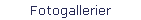Fotogallerier