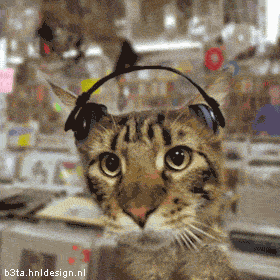 Denne tbelige kat lytter helst til "Heavy Metal"